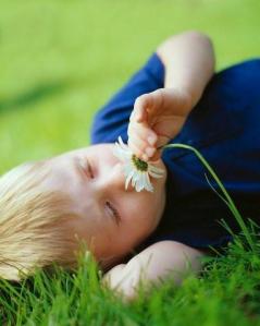 A daisy by any other name would exhibit the same quantum signature