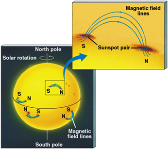 Sunspots connected by magnetic loops