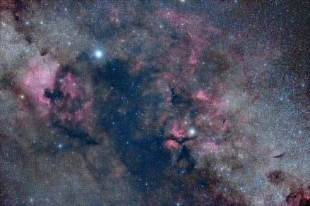 2016-07-19_578e996bc65fd_cygnus-v2-small